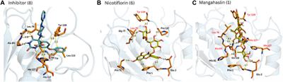 Capparis cartilaginea decne (capparaceae): isolation of flavonoids by high-speed countercurrent chromatography and their anti-inflammatory evaluation